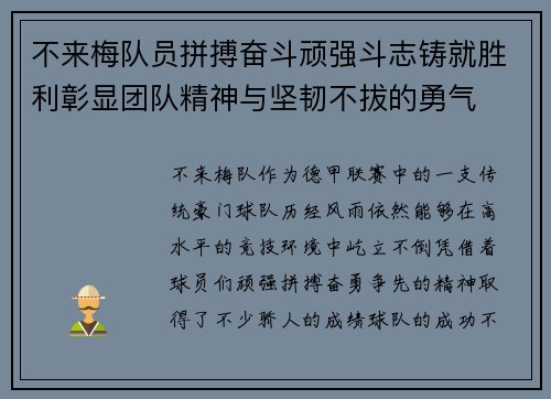 不来梅队员拼搏奋斗顽强斗志铸就胜利彰显团队精神与坚韧不拔的勇气